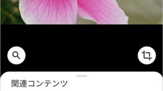 花の名前をスマホカメラで検索する方法 Google レンズ アプリの鎖